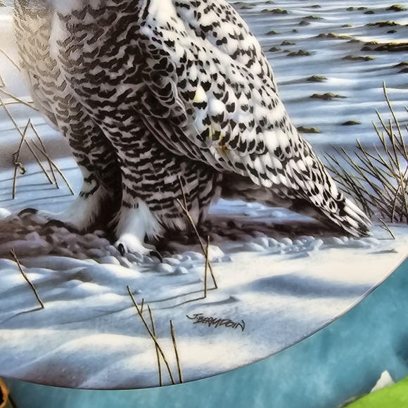 Knowles Plate Number 1588B in the Limited Edition of The Snowy Owl by Jim Beaudo - Picture 5 of 5